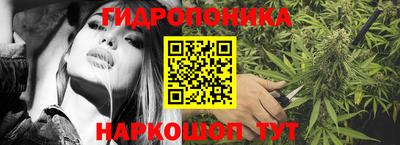 дурь Будённовск